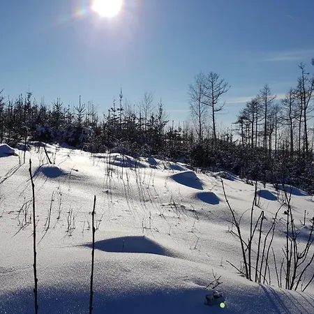 Na Kovarne Lodge *