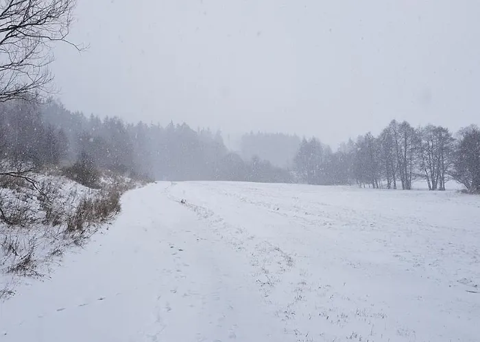 ロッジ Na Kovarne Rýmařov