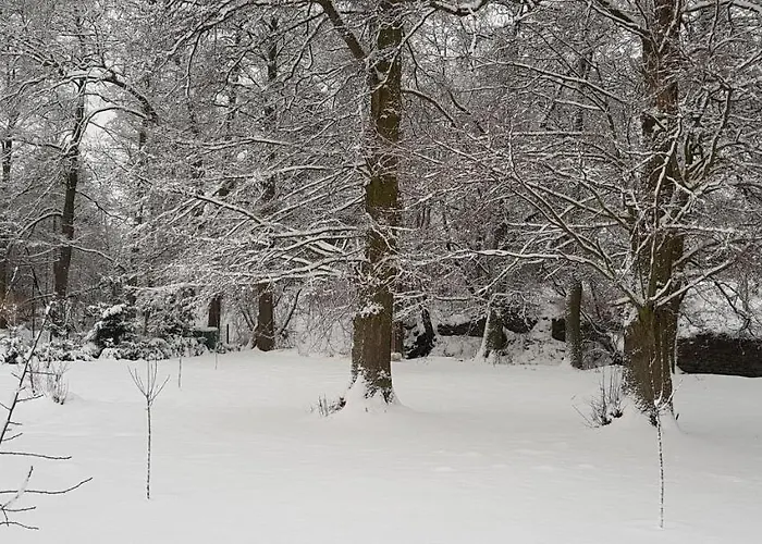 Na Kovarne Lodge *